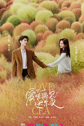 夫人韩剧海报剧照