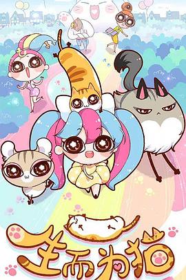 浣熊影视海报剧照